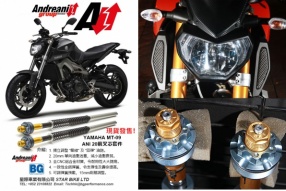 Andreani YAMAHA MT-09 ANI 20前叉芯套件 - 現貨發售中