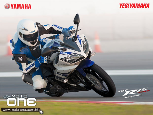 2013 YAMAHA YZF-R15