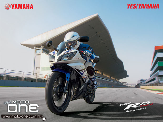 2013 YAMAHA YZF-R15