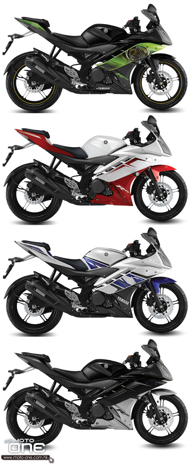 2013 YAMAHA YZF-R15