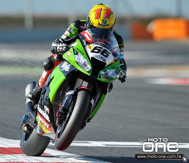 SHARK TOM SYKES