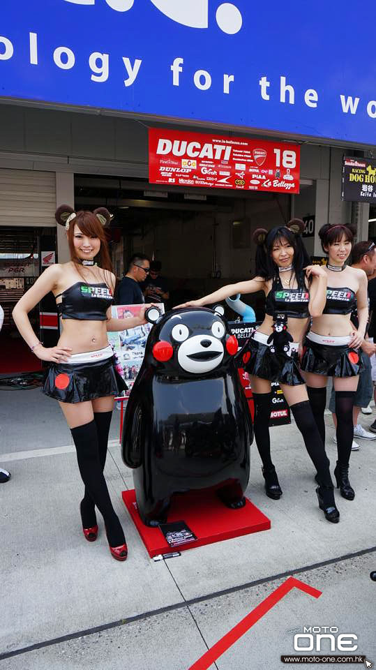 2013 SUZUKA 8 HOURS