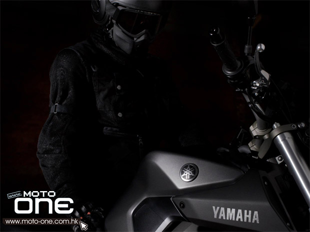 2013 yamaha mt-09