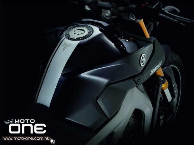 2013 yamaha mt-09