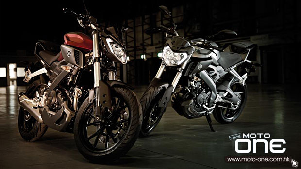 2014 Yamaha MT125