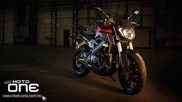 2014 Yamaha MT125