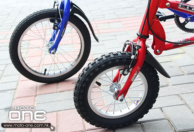 FITQ Express Folding Bike