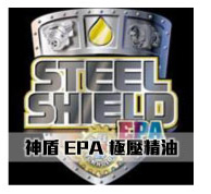 STEEL SHEILD REPORT