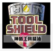 STEEL SHEILD REPORT