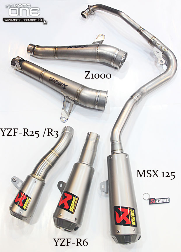 2015 AKRAPOVIC GP Style