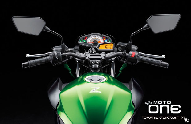 2015 KAWASAKI Z300