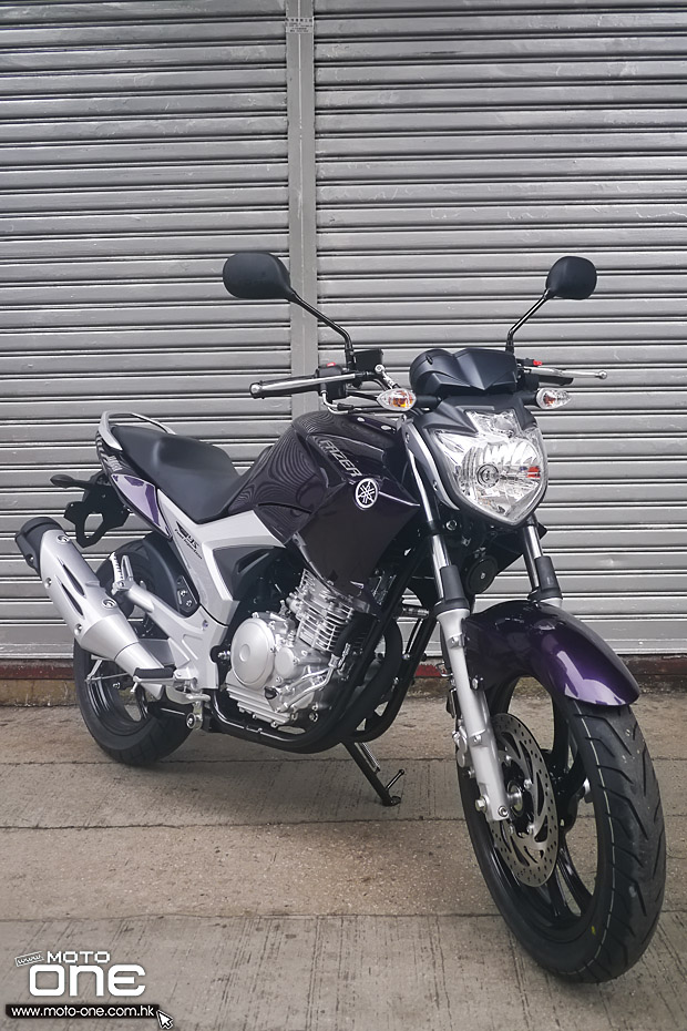 2015 YAMAHA YS250 FAZER