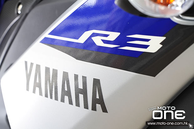 2015 YAMAHA YZF-R3