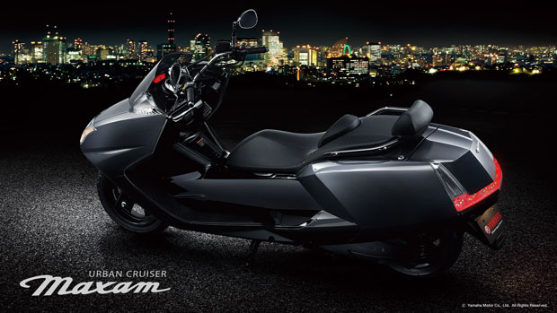 2015 YAMAHA 10th Maxam CP250
