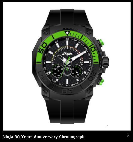 2015 KAWASAKI WATCH