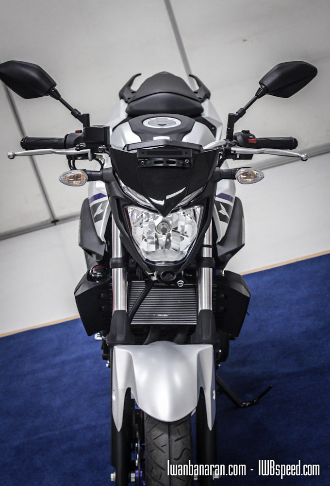 2015 YAMAHA mt-25