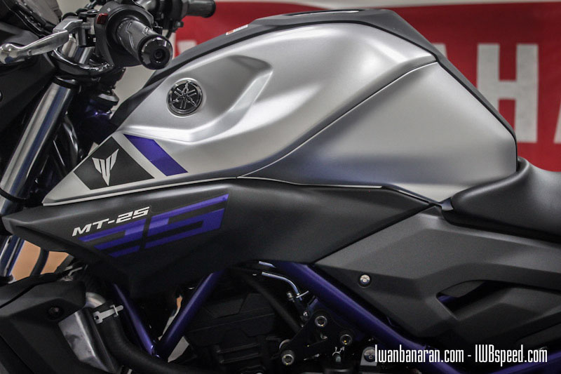 2015 YAMAHA mt-25