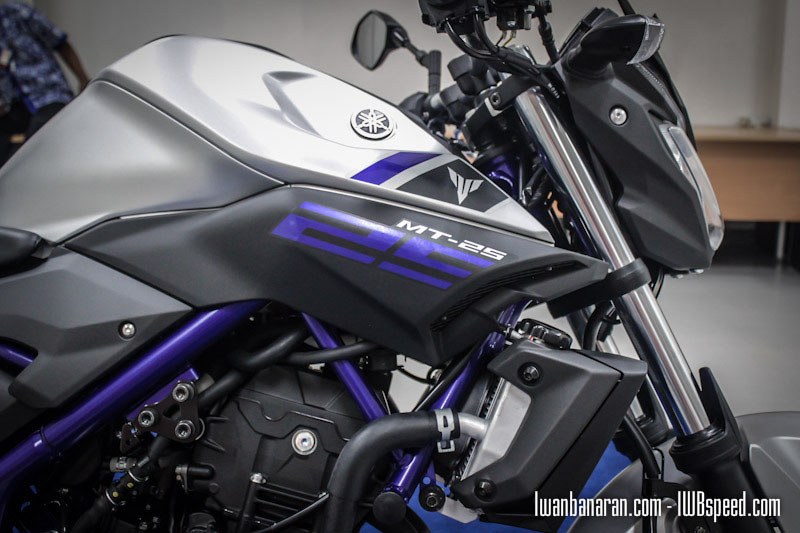 2015 YAMAHA mt-25