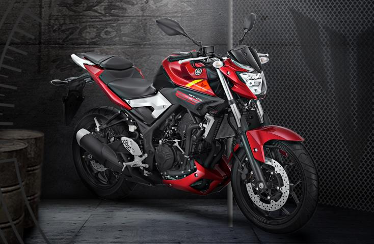 2015 yamaha mt-25