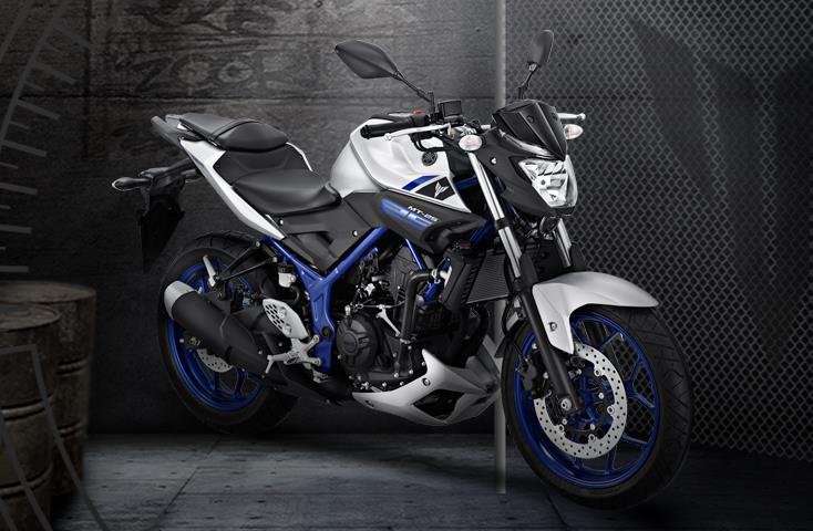 2015 yamaha mt-25