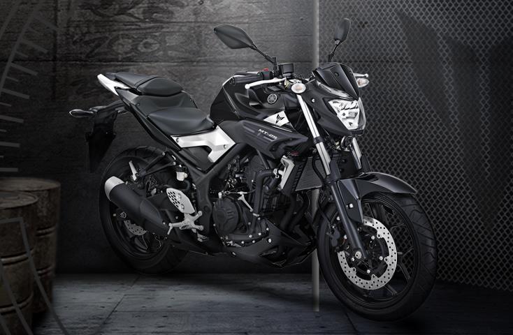 2015 yamaha mt-25