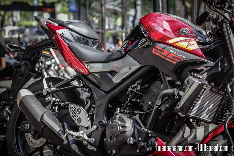 2015 yamaha mt-25