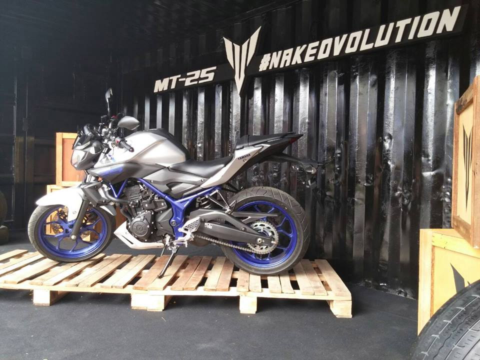 2015 yamaha mt-25