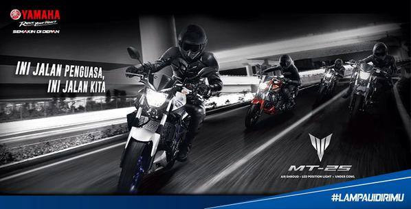 2015 yamaha mt-25