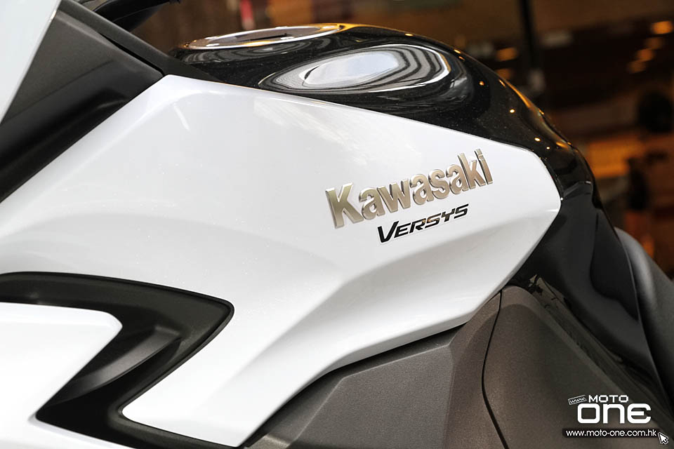 2015 KAWASAKI Versys 650 1000