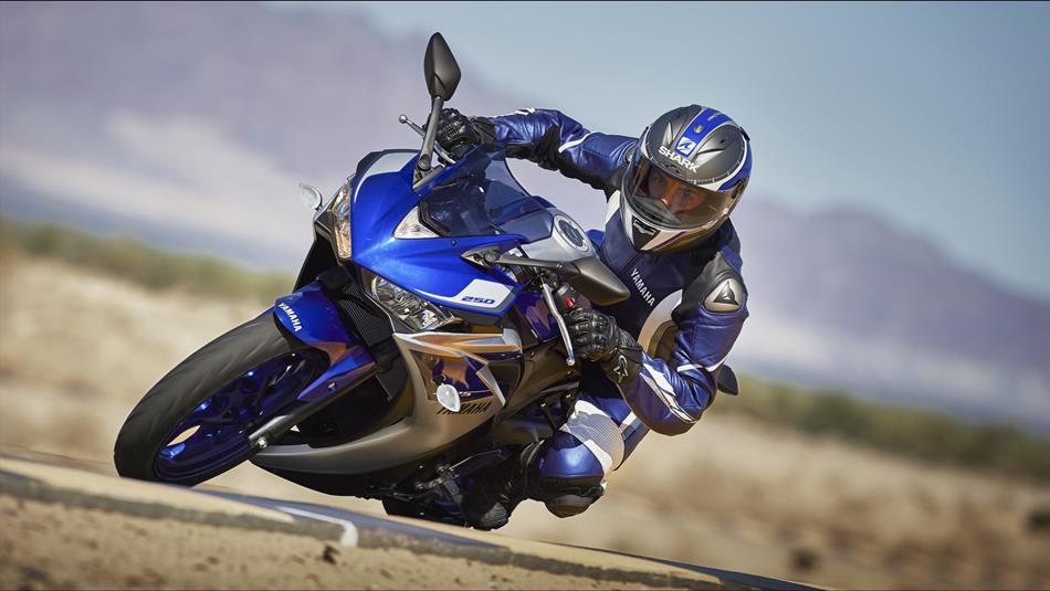 2015 Yamaha YZF R25