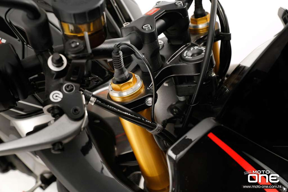 Aprilia Tuono V4 1100 RR