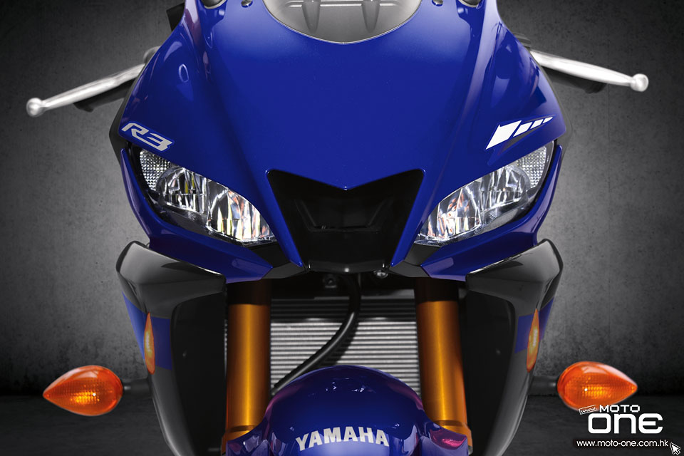 2019 Yamaha YZF-R3