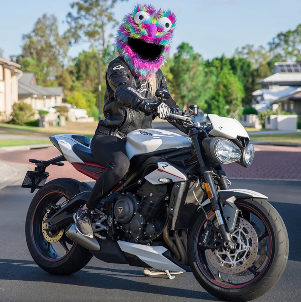 2019 Elmo