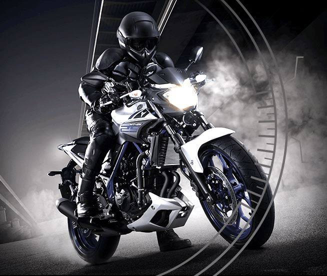 YAMAHA MT-25