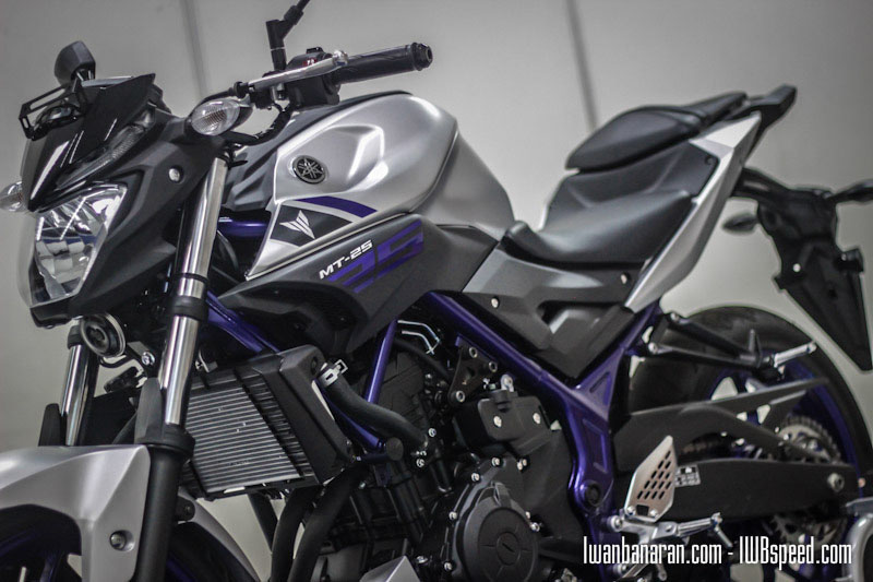 YAMAHA MT-25